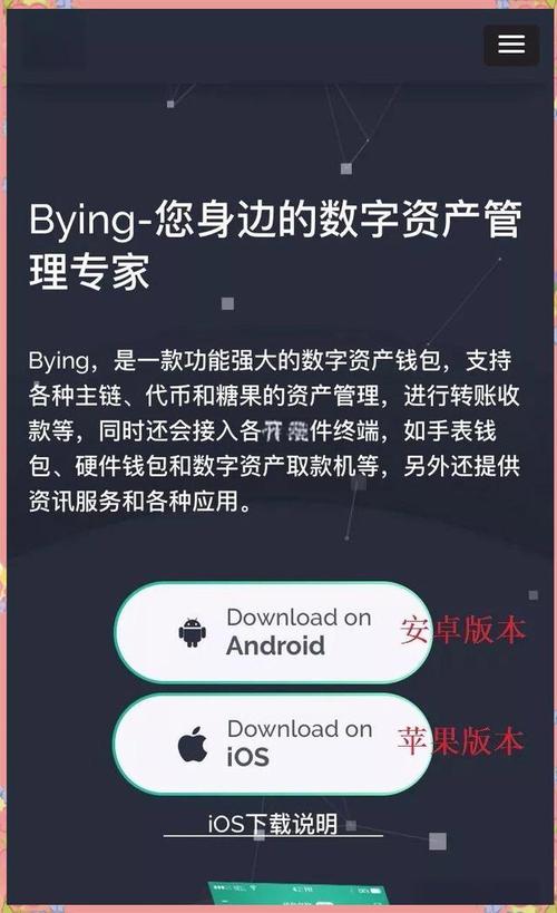 保障数字资产钱包安全：tokenpocket官网下载及设置要点